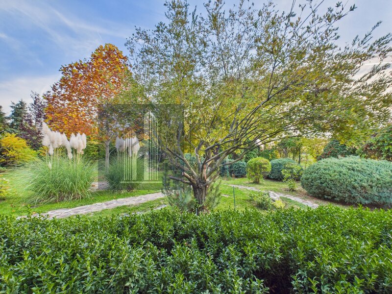 Snagov, vila individuala, curte amenajata, prosumator 8 kw